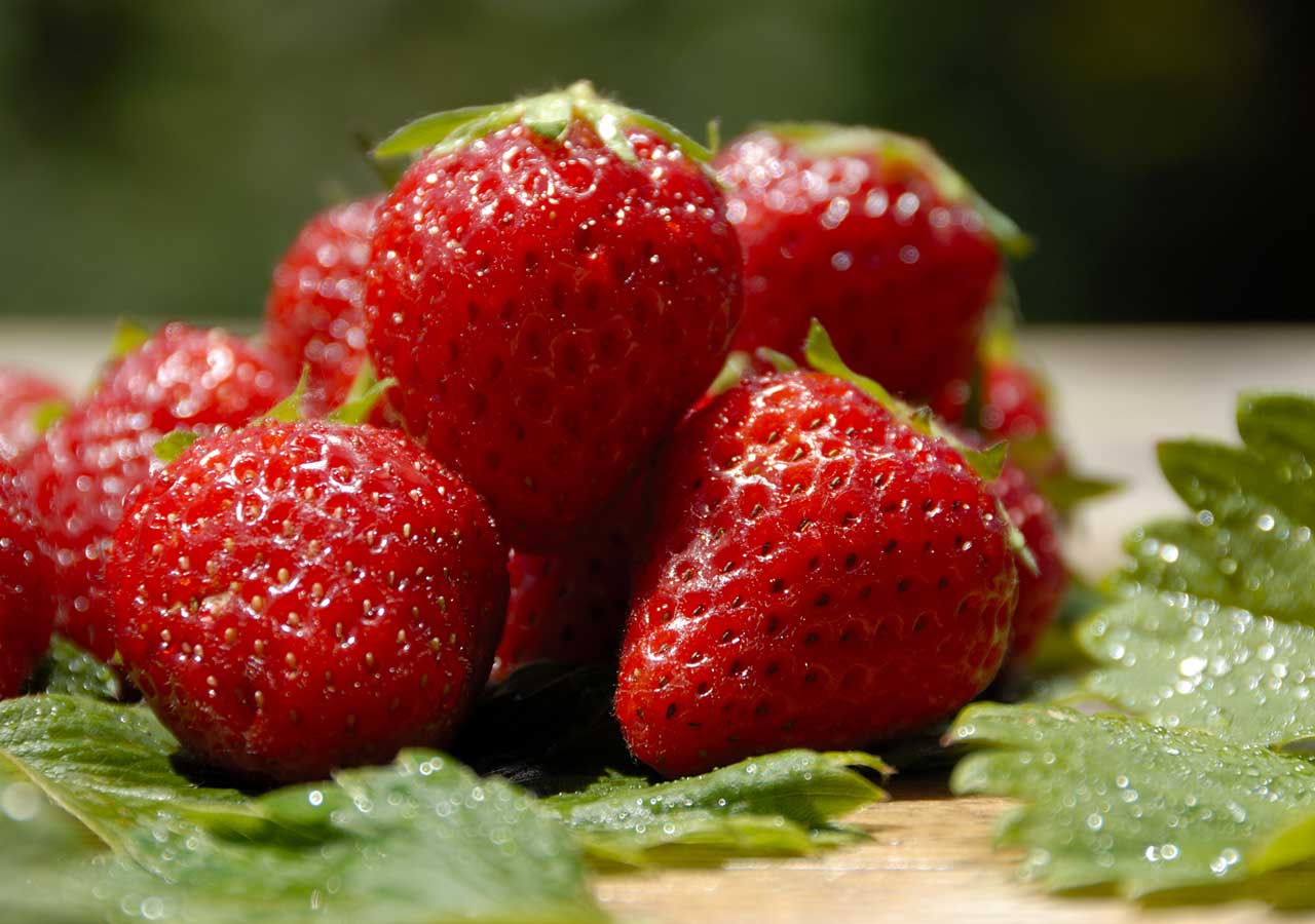 Primeur fruits et légumes à Toulouse